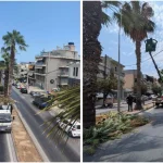Ηράκλειο: Συνεχίζονται οι παρεμβάσεις πρασίνου σε γειτονιές, χωριά και σχολεία