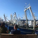 Αλιείς: Ζητούν 50 λεπτά επιδότηση πετρελαίου – Χωρίς φρέσκο ψάρι η αγορά λόγω των κινητοποιήσεων